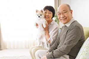 Couple with dog on couch